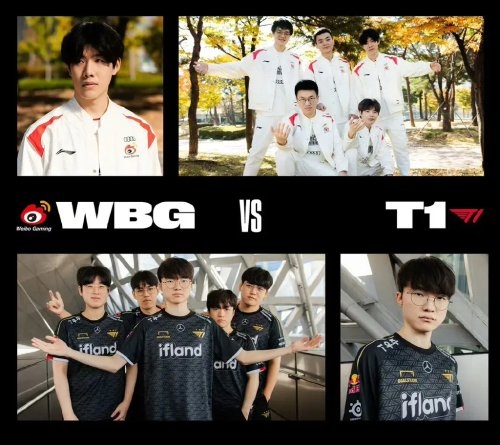 的亲属关系 的亲属关系