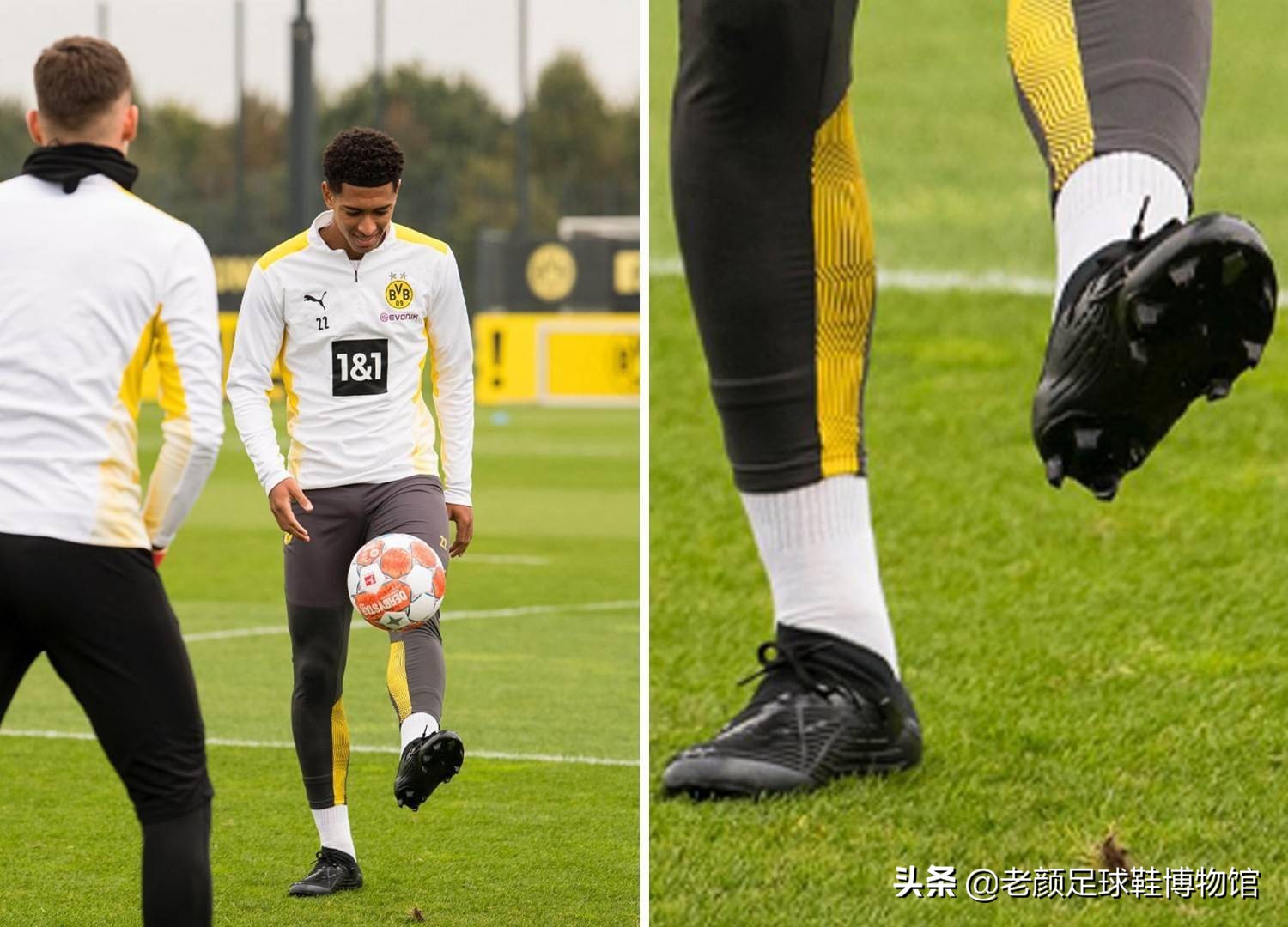 促进了青少 促进了青少